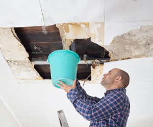 Man,Collecting,Water,In,Bucket,From,Ceiling.,Ceiling,Panels,Damaged